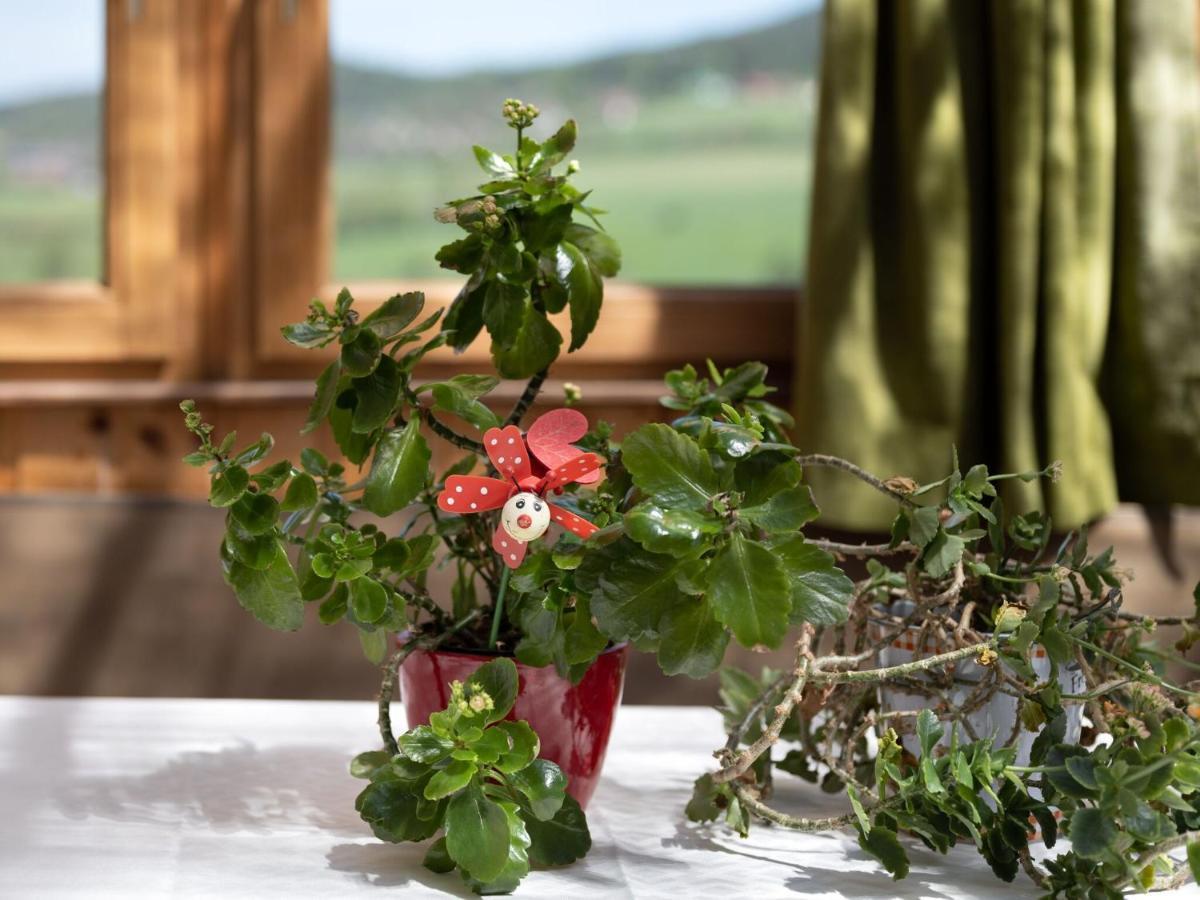 Quaint Holiday Home In Bad K Tzting With Garden Terrace Кёцтинг Экстерьер фото